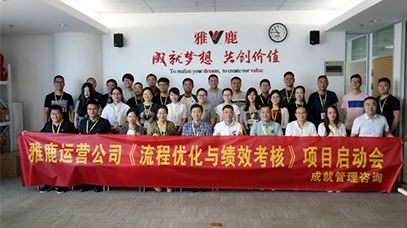 雅鹿股份《流程优化与绩效提升》项目